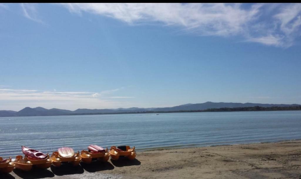 I Tulipani Di Anna Daire Castiglione del Lago Dış mekan fotoğraf