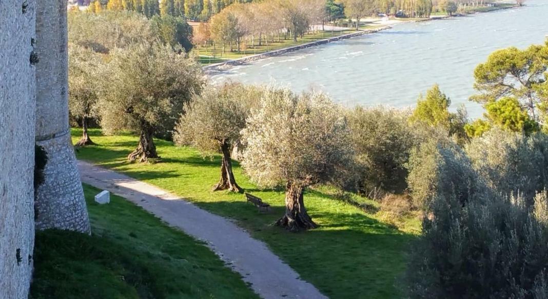 I Tulipani Di Anna Daire Castiglione del Lago Dış mekan fotoğraf